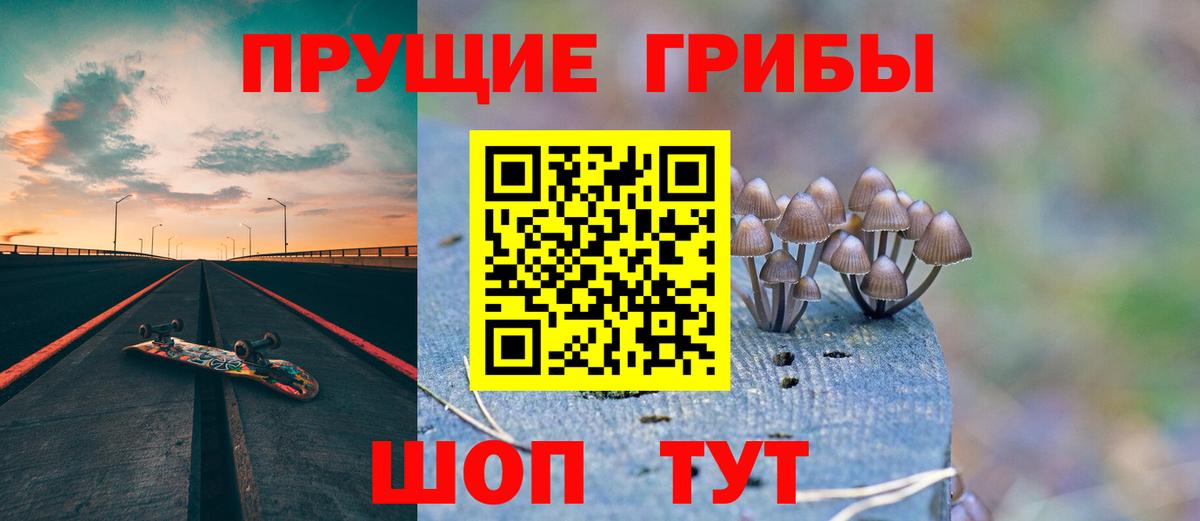 Псилоцибиновые грибы прущие грибы Зеленогорск